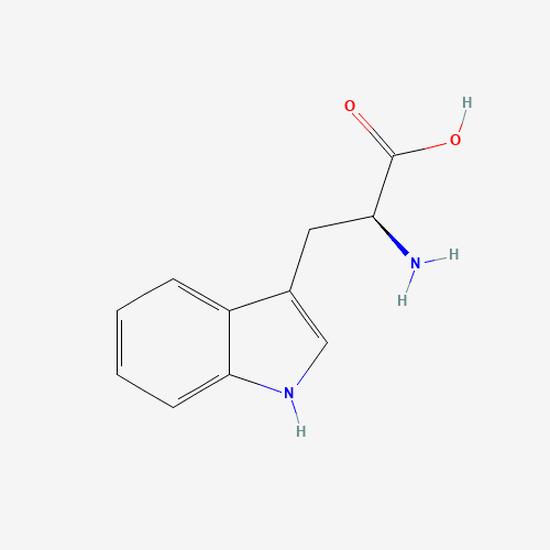 Szkielet 2D Tryptofan, CAS 73-22-3, wzór C11H12N2O2